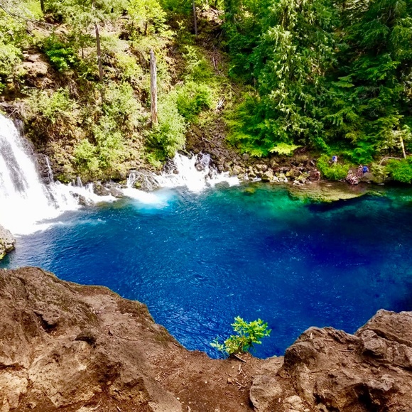 Meet your Posher, Jamie - Picture 7 of 12